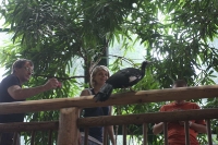 zoo_viena_21