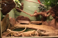 zoo_viena_23